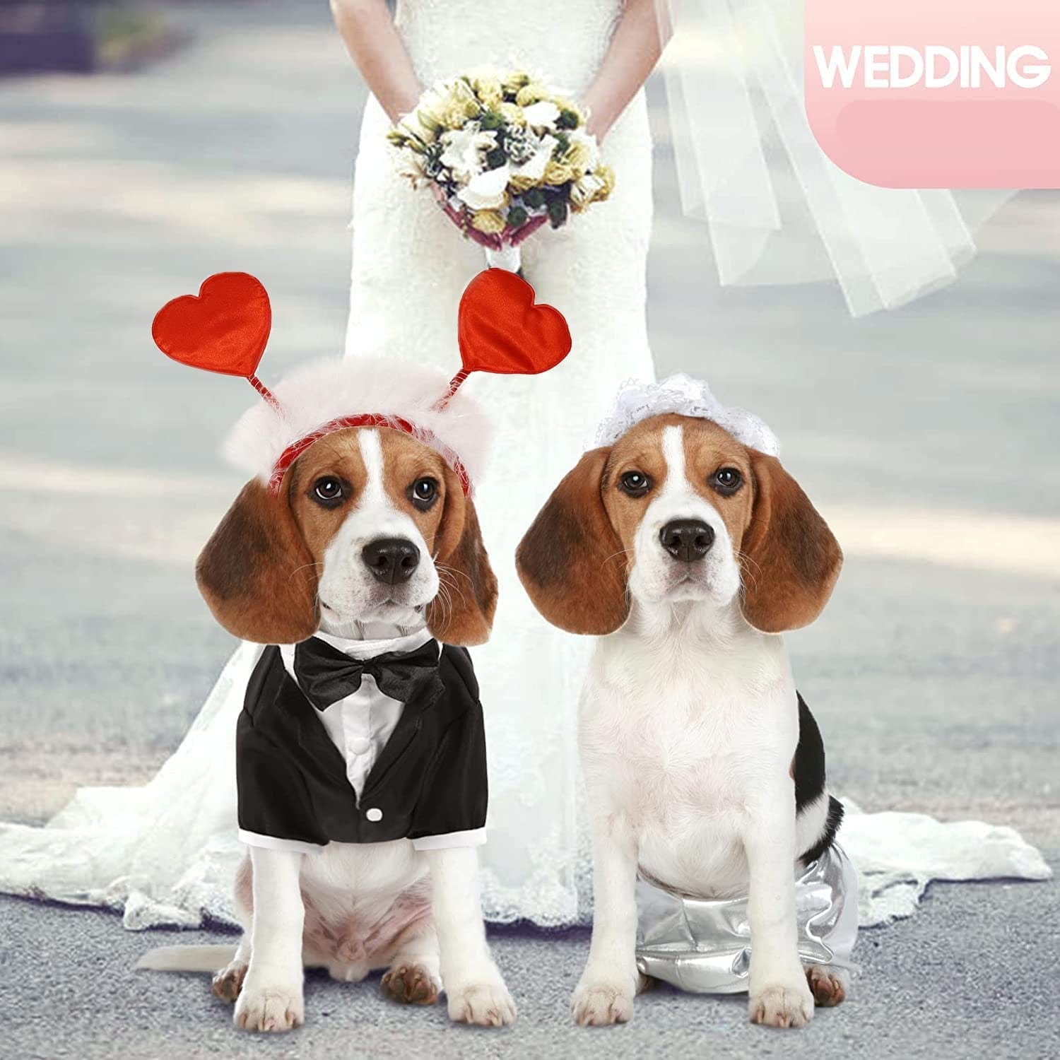 Glittery Valentine's Day Pet Heart Headband for Dogs and Cats