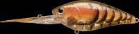 Lucky Craft FLAT CB D-20 Crankbait
