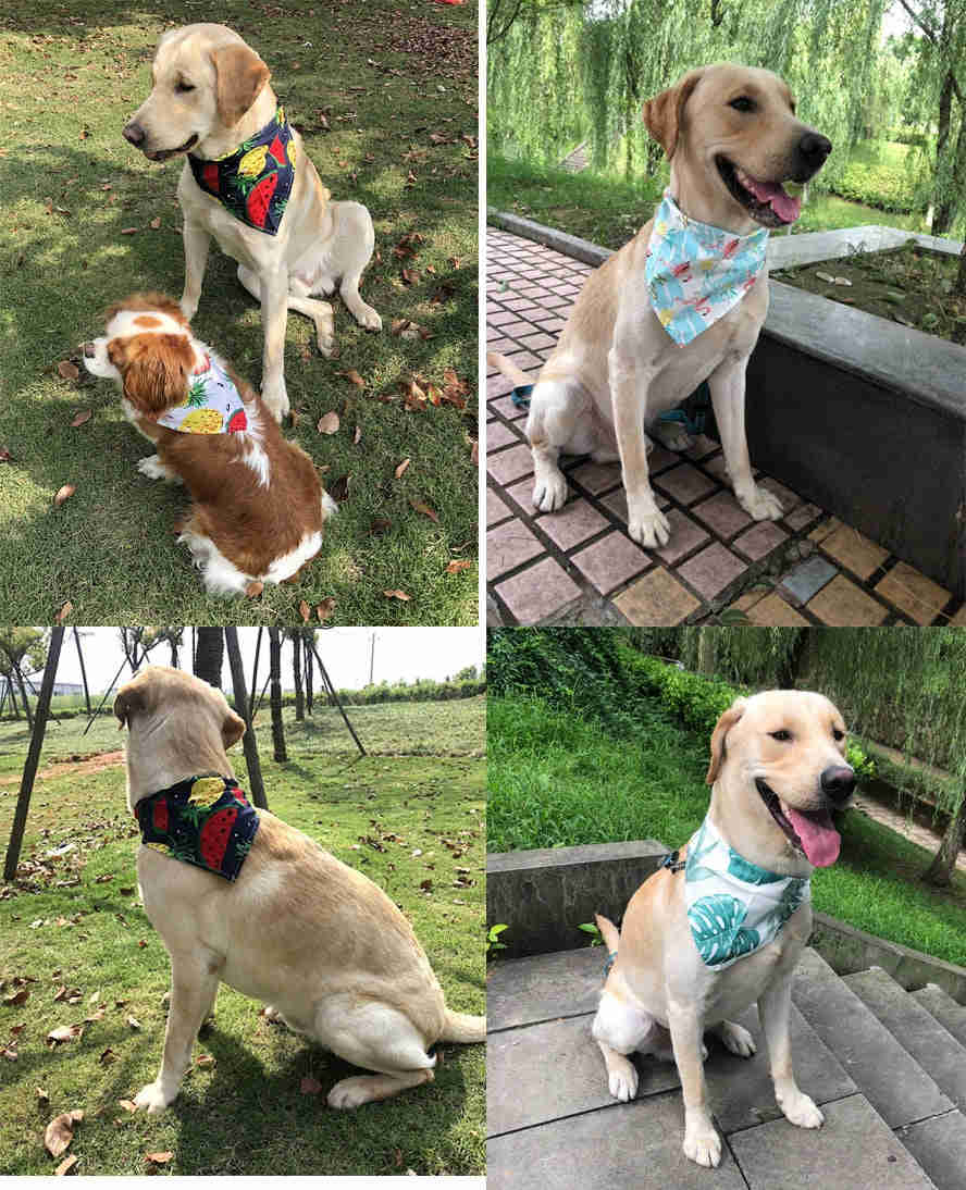 Flamingo-Printed Dog Bandanas - 50/100pcs Cotton Pet Accessories for Summer