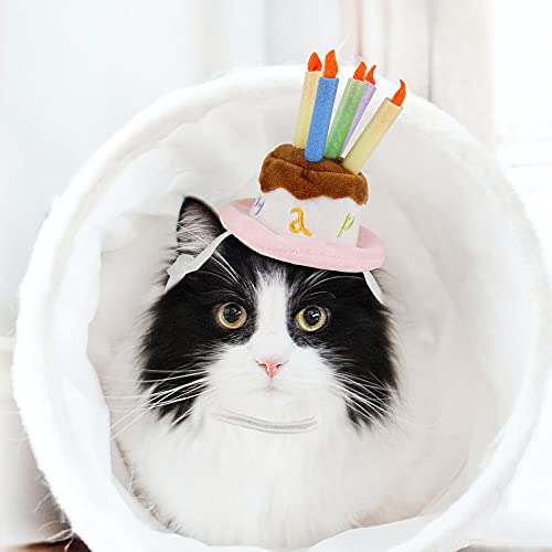 Namsan Pet Birthday Hat - Adorable Cake Themed Accessory for Cats and Dogs