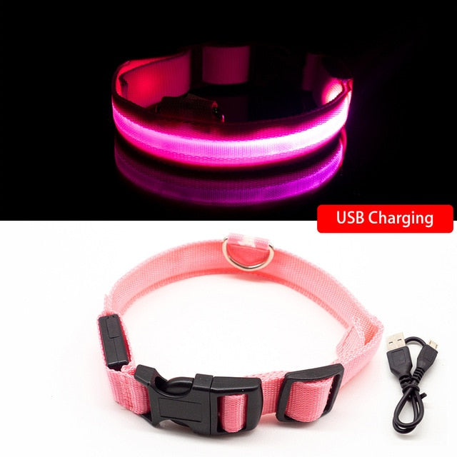 USB Rechargeable LED Dog Collar for Safety & Visibility - Small, Medium, Large Dogs