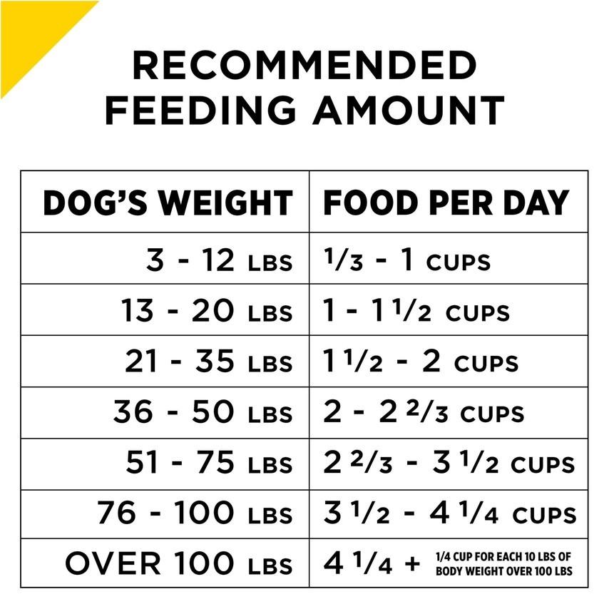 Purina Pro Plan Bright Mind Adult 7+ Dry Dog Food - Chicken & Rice Formula for Senior Dogs