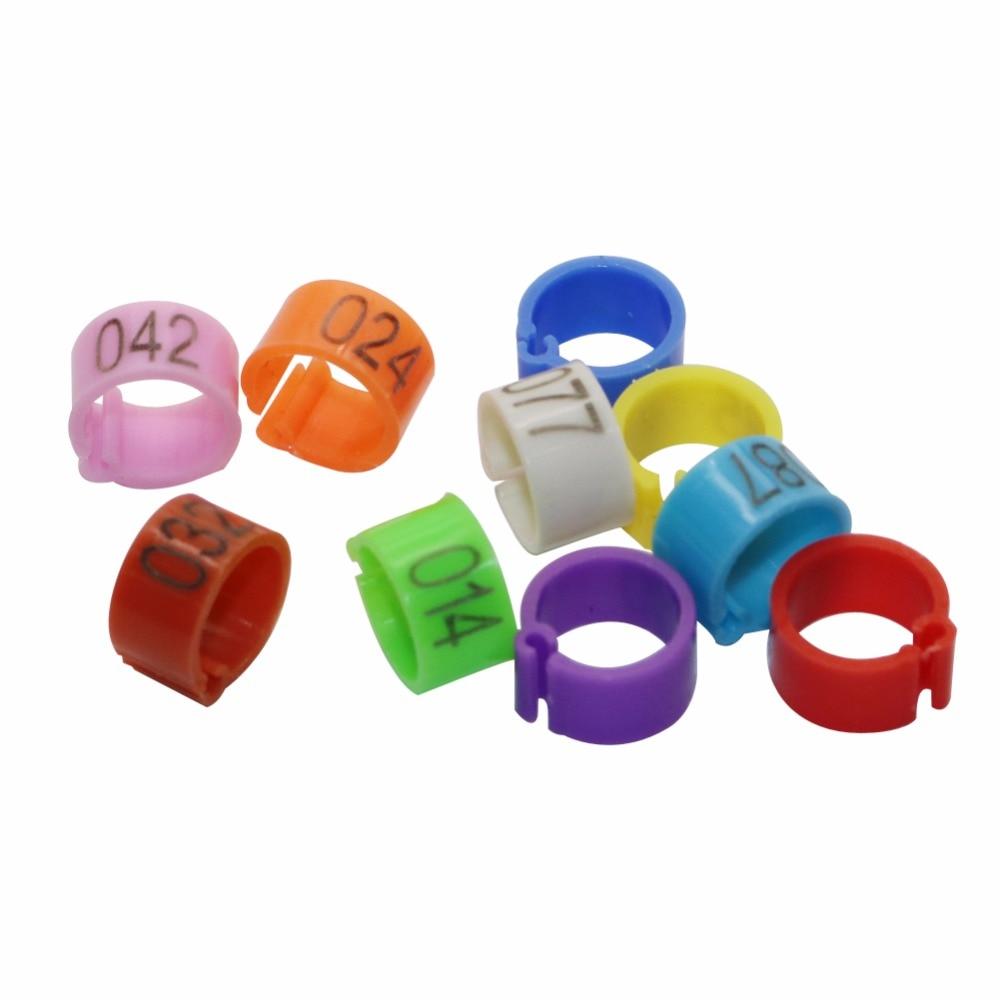Talk-Satisfied 1000 Pcs 8mm Plastic Bird Leg Rings - Multicolored for Parrots & Pigeons