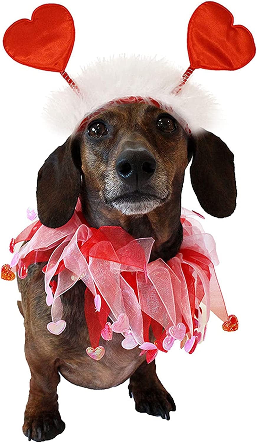 Glittery Valentine's Day Pet Heart Headband for Dogs and Cats