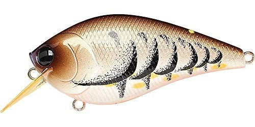 Lucky Craft LC 2.5 - Premium Plastic Square Bill Crankbait