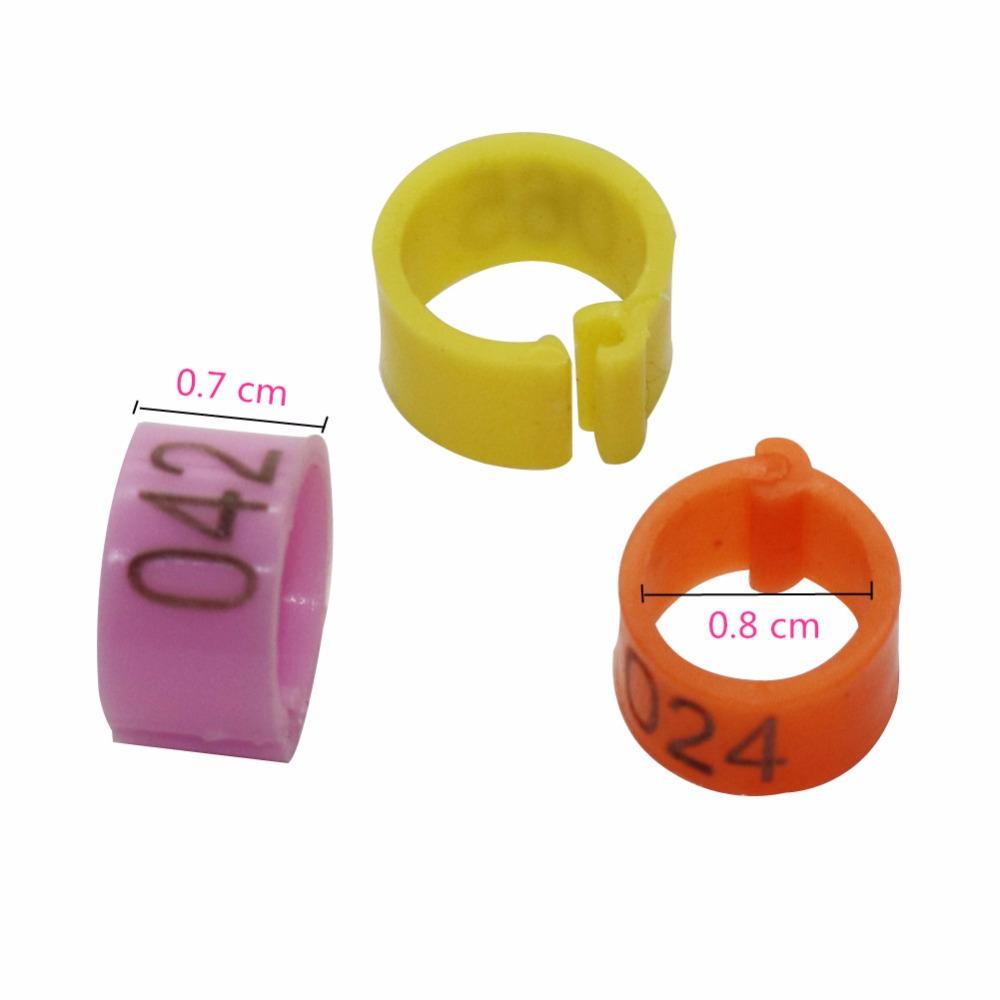 Talk-Satisfied 1000 Pcs 8mm Plastic Bird Leg Rings - Multicolored for Parrots & Pigeons