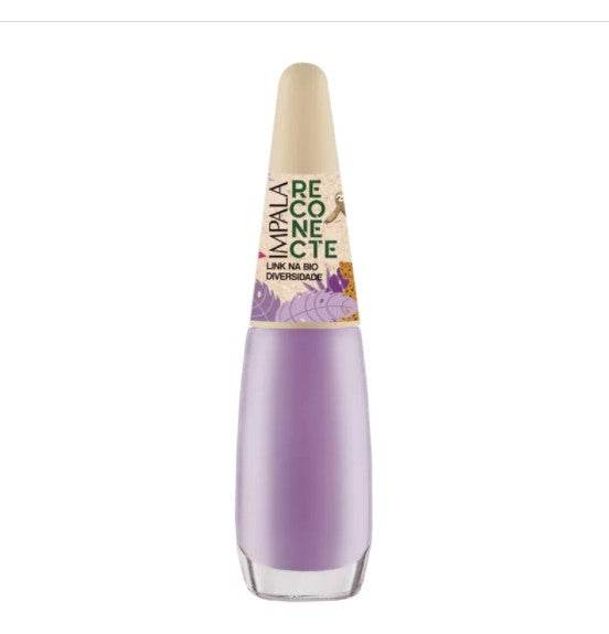 Brazilian Beauty Essentials Kit - 9 Must-Have Items