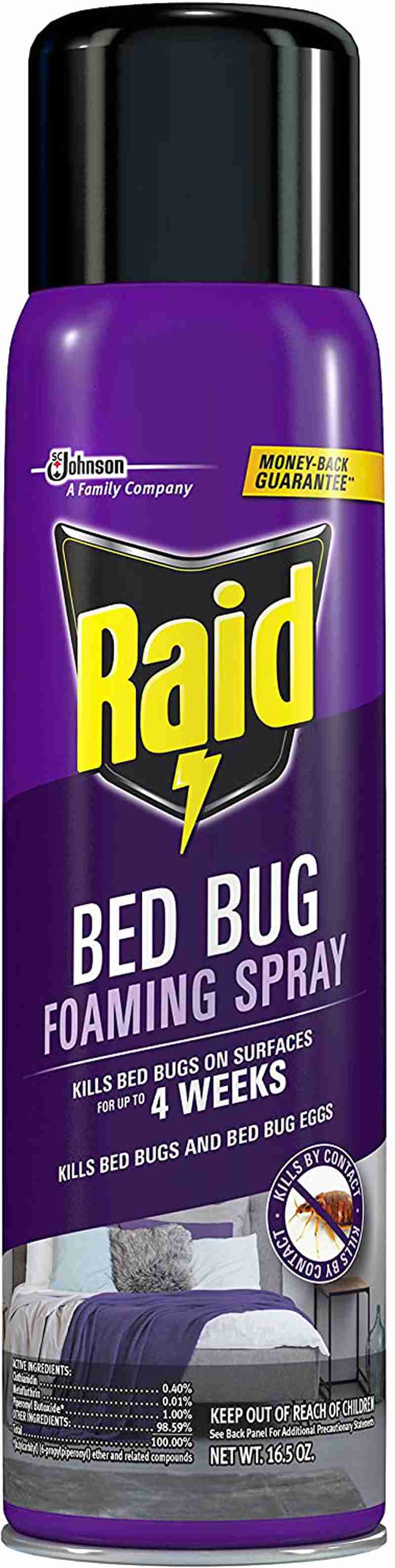 Raid Bed Bug Foaming Spray, Indoor Use, Non-Staining, 16.5 Oz