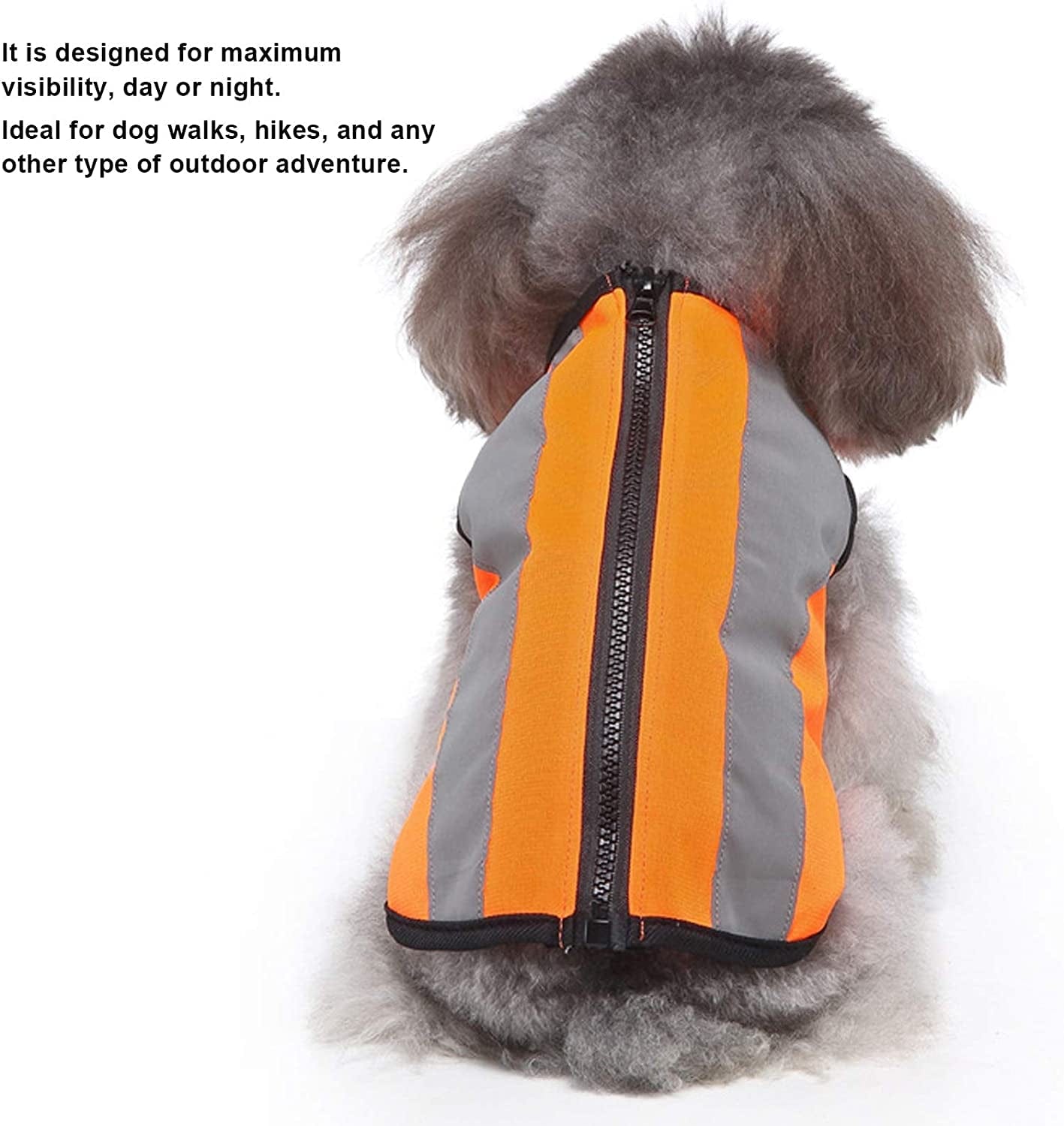 Reflective Dog Safety Vest for Outdoor Adventures