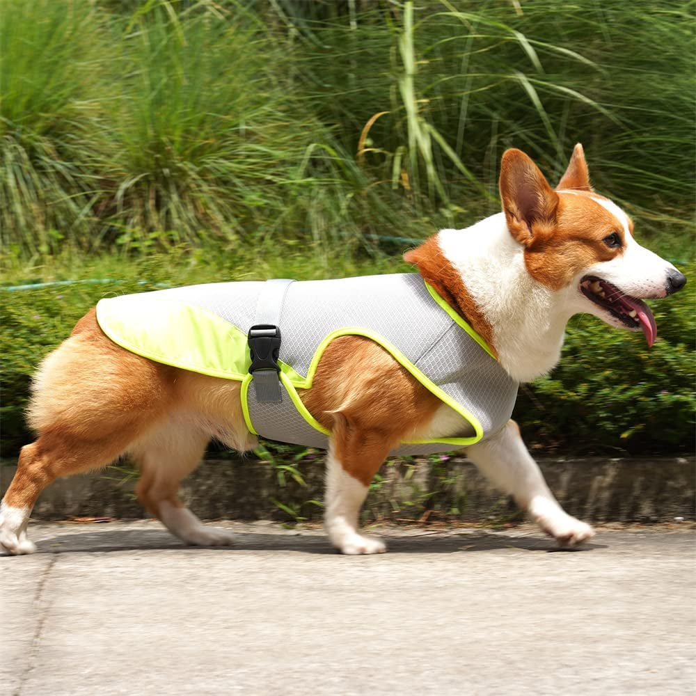 Premium Dog Cooling Vest for Outdoor Adventures