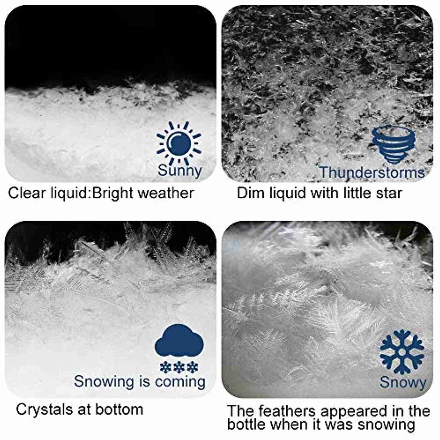 Elegant Weather Predictor Storm Glass - Unique Desktop Decor