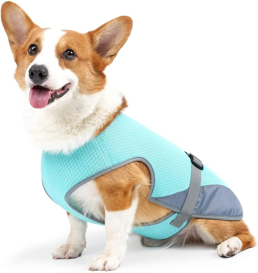 Premium Dog Cooling Vest for Outdoor Adventures