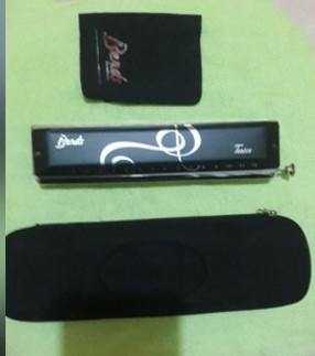 Brazilian Harmonica Kit - 5 Unique Models