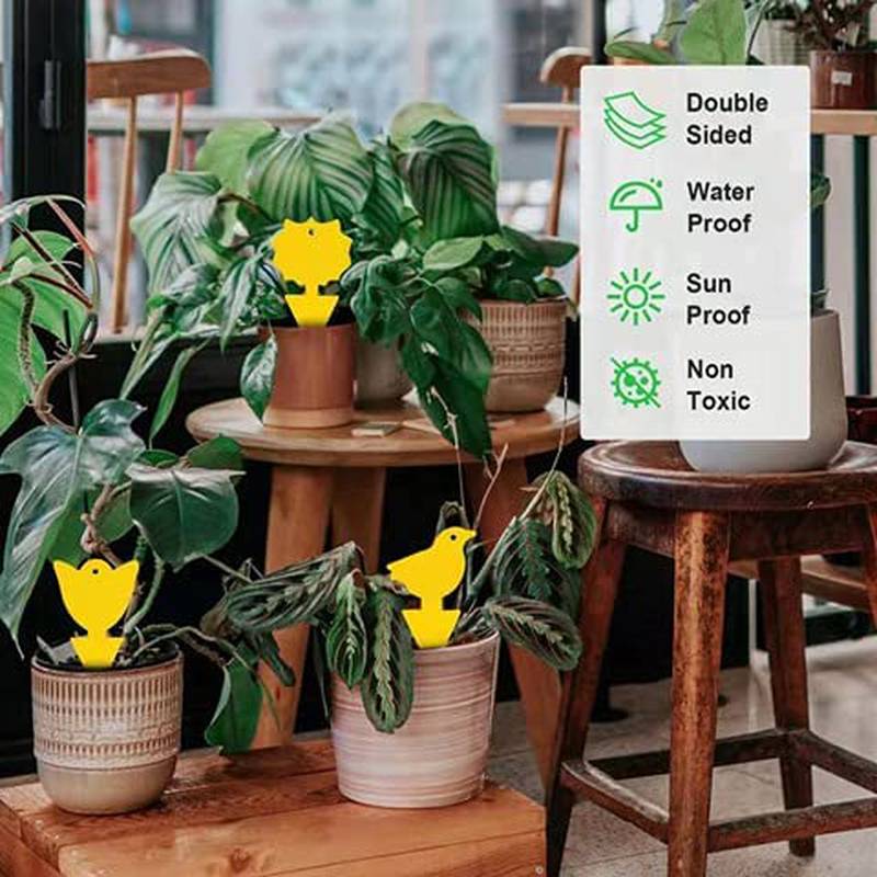 High-Efficiency Yellow Sticky Insect Traps for Fruit Flies, Fungus Gnats, and Mosquitoes