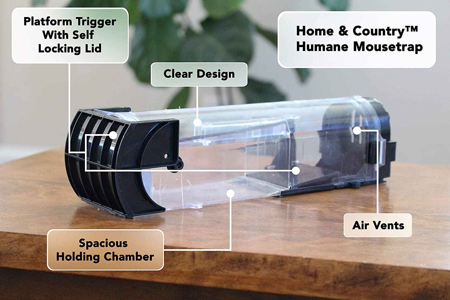 Home and Country Humane Mouse Trap - Catch and Release
