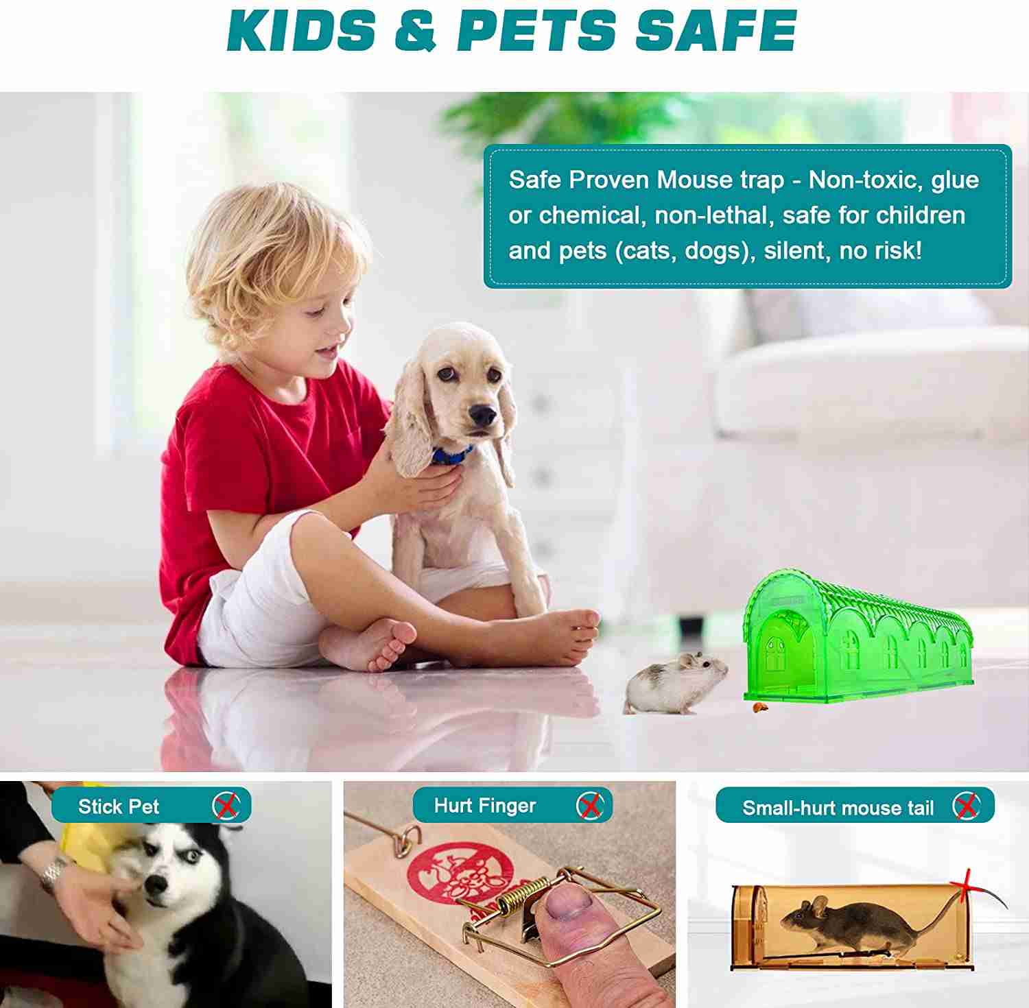 Humane Mouse Traps 2 Pack - ROCKBIRDS Eco-Friendly, High-Efficiency Indoor/Outdoor Mouse Catchers