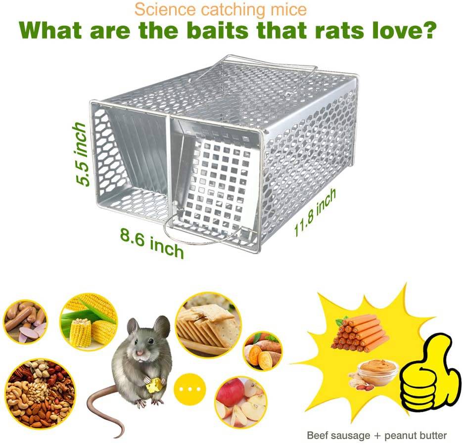 ROCKBIRDS Humane Live Animal Trap - Safe and Effective Pest Control