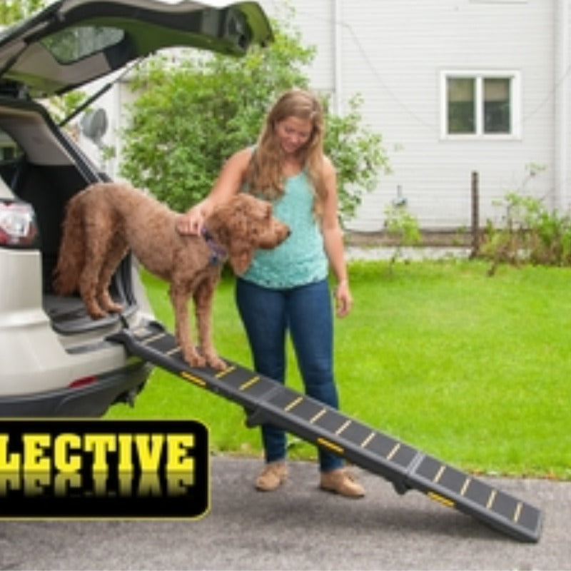 Pet Gear Reflective Tri-Fold Dog Ramp for Easy Access