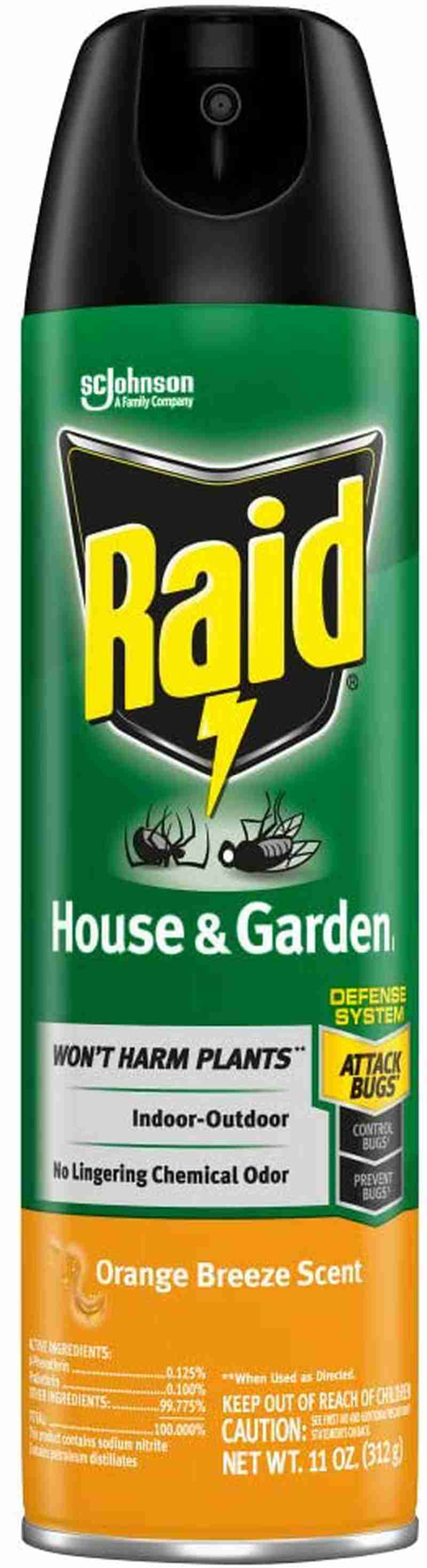 Raid Insect Killer Spray, Outdoor & Indoor Use, Orange Scent