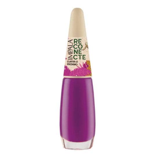Brazilian Beauty Essentials Kit - 9 Must-Have Items