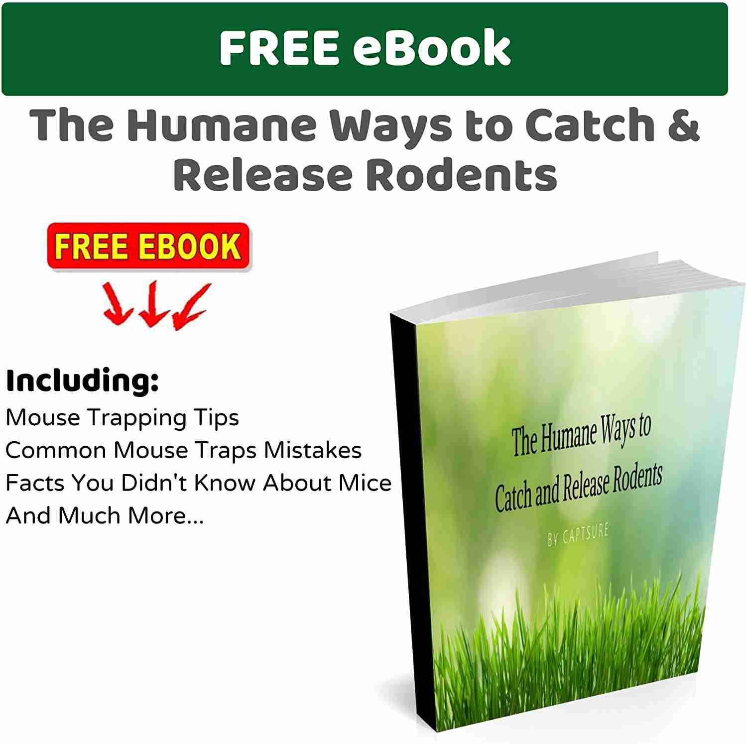 CaptSure Humane Mouse Traps - Safe, Easy Setup, Reusable