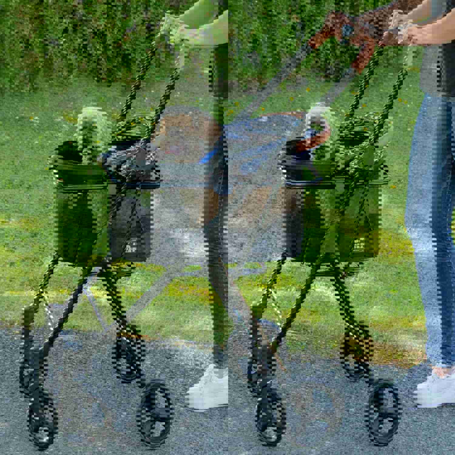 Pet Gear VIEW 360 Multi-Functional Dog Travel System
