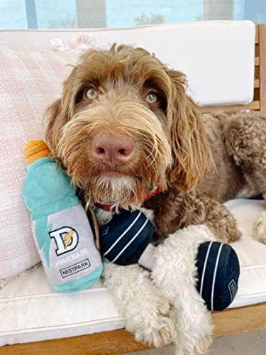 Nestpark Doggyade - Hilarious Fitness-Themed Dog Toys