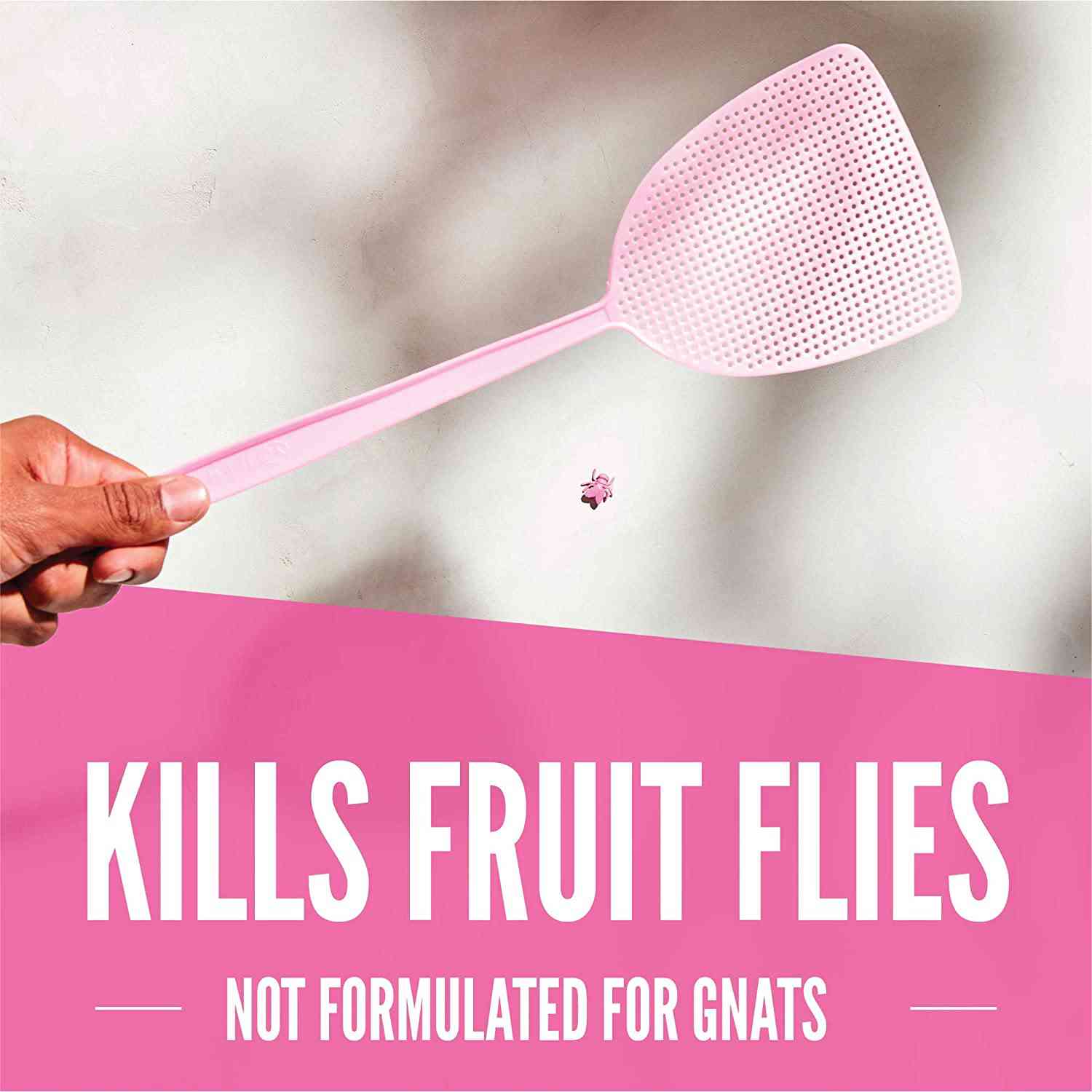 Aunt Fannies FlyPunch - 12-Pack Fruit Fly Traps for Indoor Use