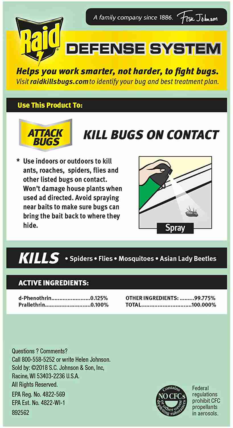Raid Insect Killer Spray, Outdoor & Indoor Use, Orange Scent