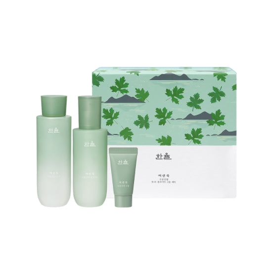 HANYUL Pure Artemisia Soothing & Moisture Skincare Duo