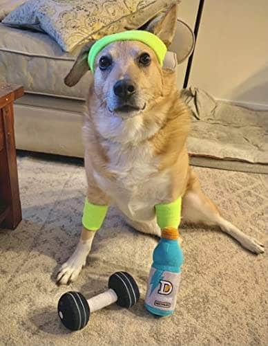 Nestpark Doggyade - Hilarious Fitness-Themed Dog Toys