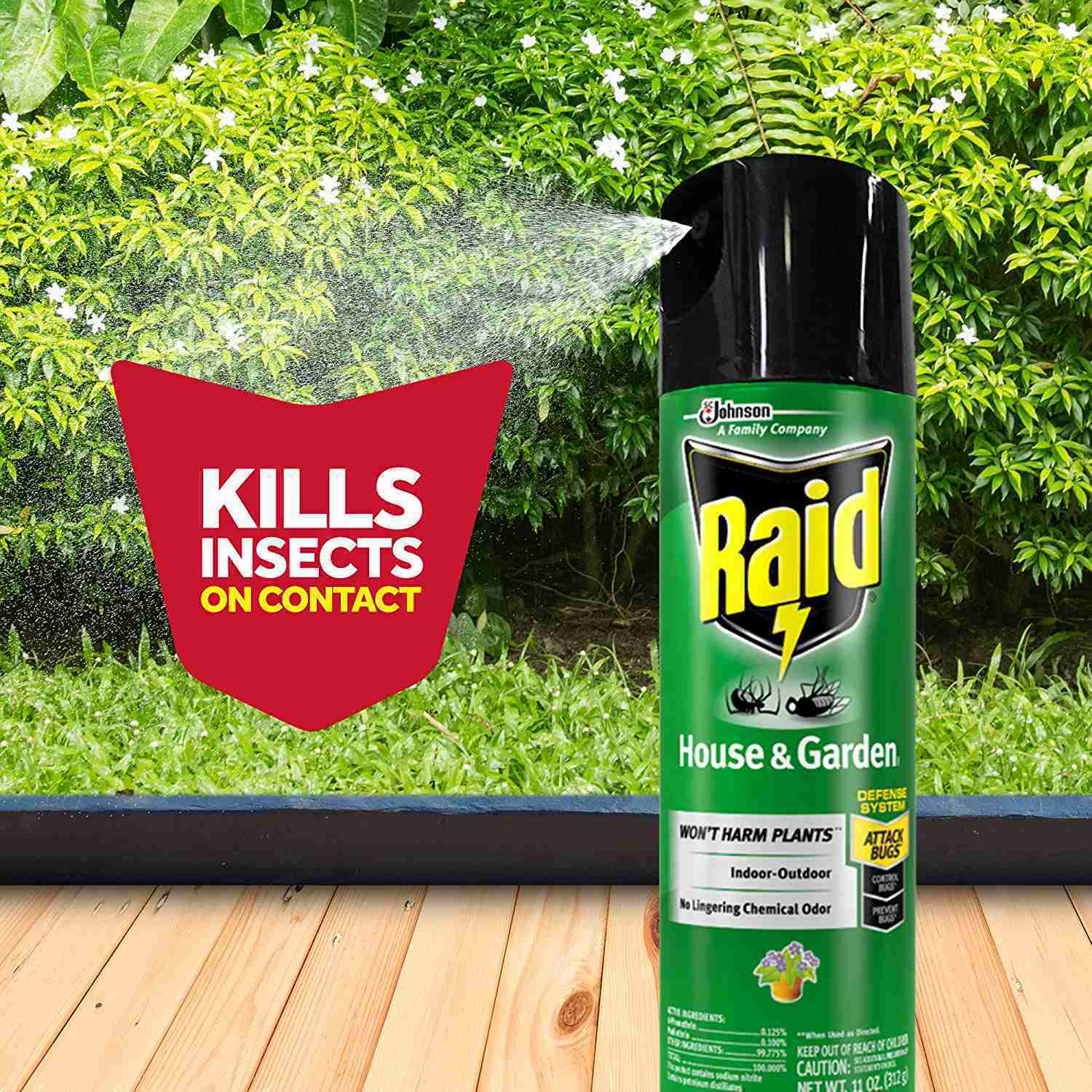 Raid Insect Killer Spray, Outdoor & Indoor Use, Orange Scent