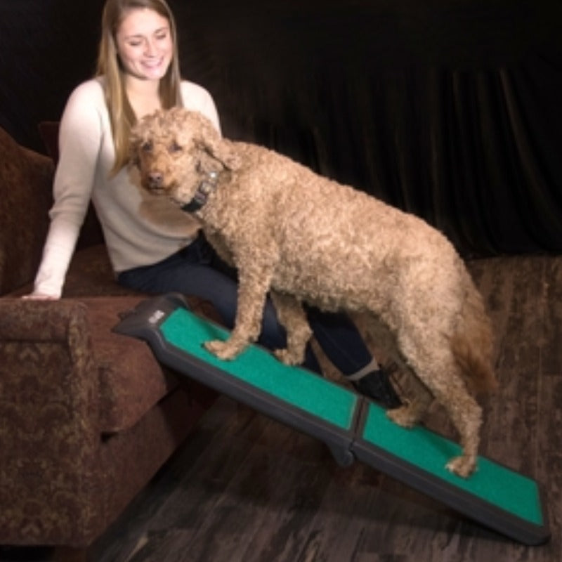 Pet Gear Bi-Fold Travel Lite Ramp with SupertraX - Portable & Non-Slip Pet Ramp