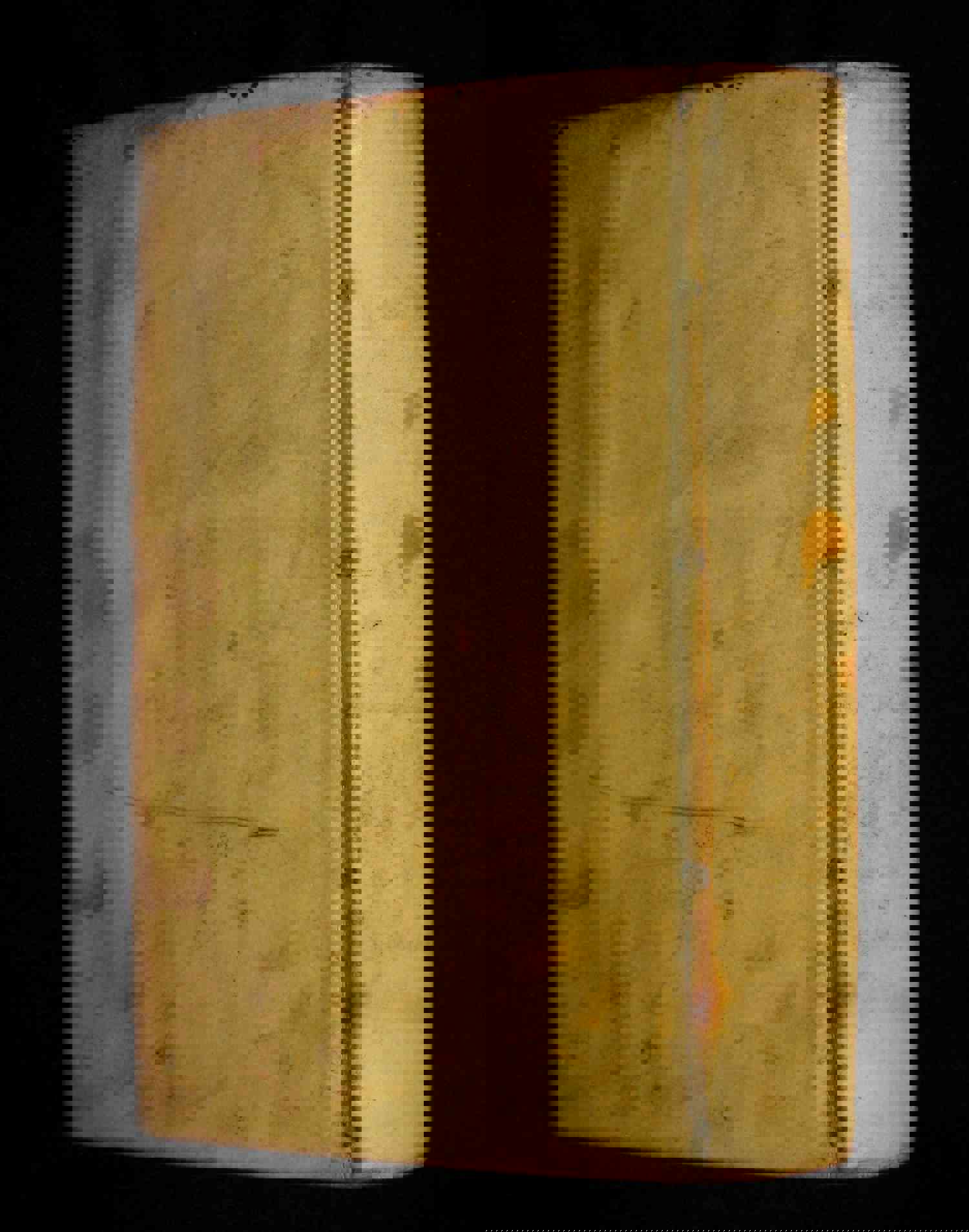 1690 Rare French Vellum Book - Memoirs of Louis XIV's Minority