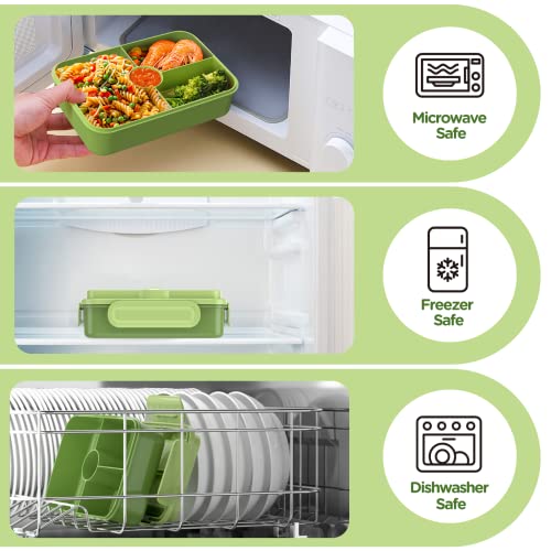 Jelife Leakproof Bento Box for Kids - Large 4-Compartment Lunch Container with Silicone Rings, Green