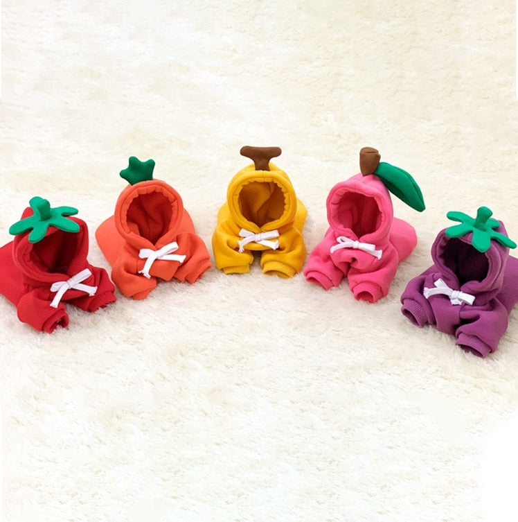 Stylish Dog Hoodie with Vibrant Colors
