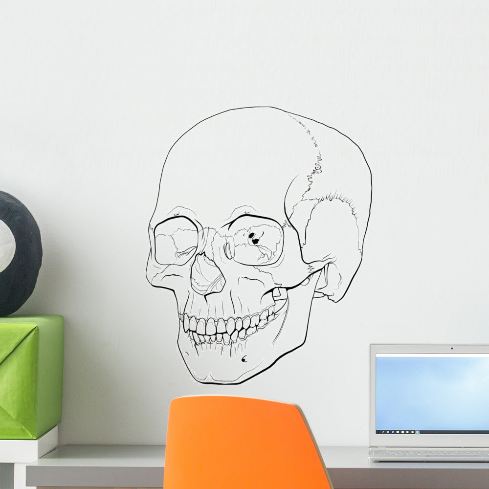 Elegant Line Illustration Human Skull Wall Decal