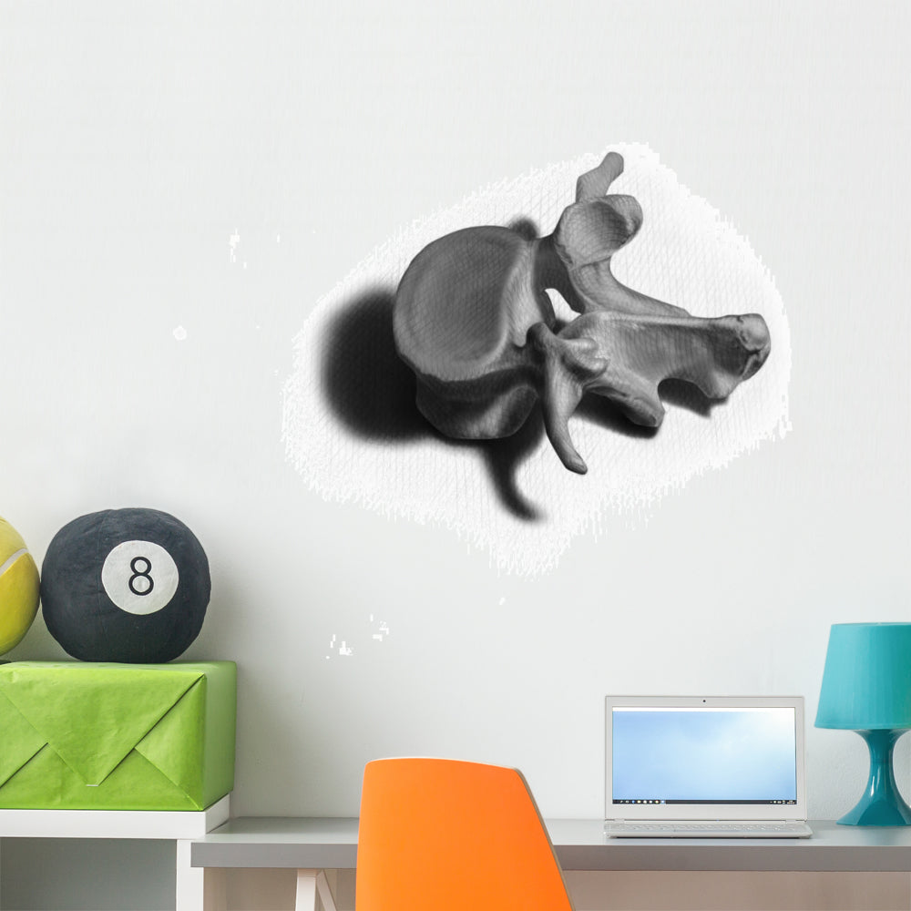 Anatomical Vertebrae Wall Decal for Educational and Decorative Spaces