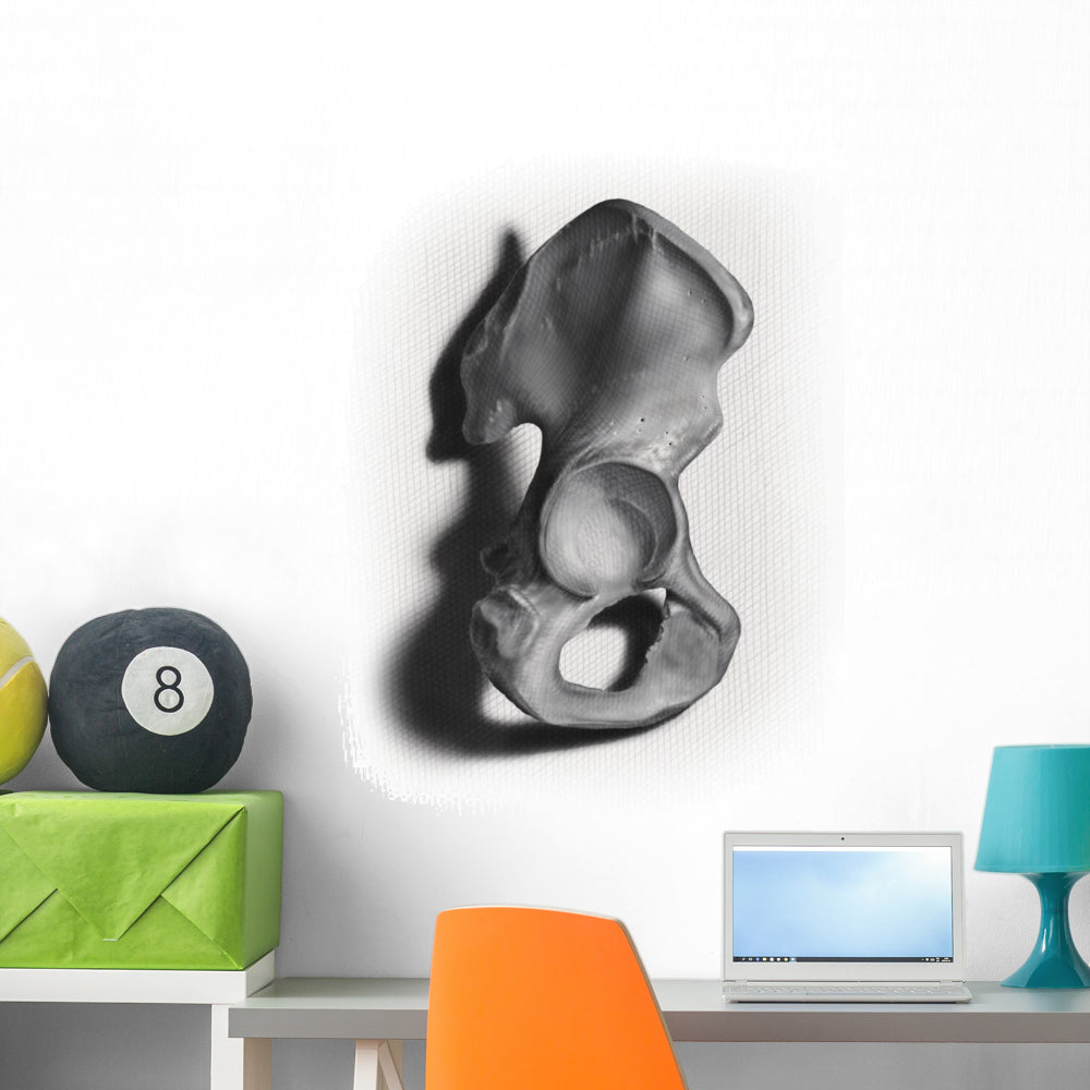 Bone Illustration Wall Decal - Vibrant Decor for Any Space