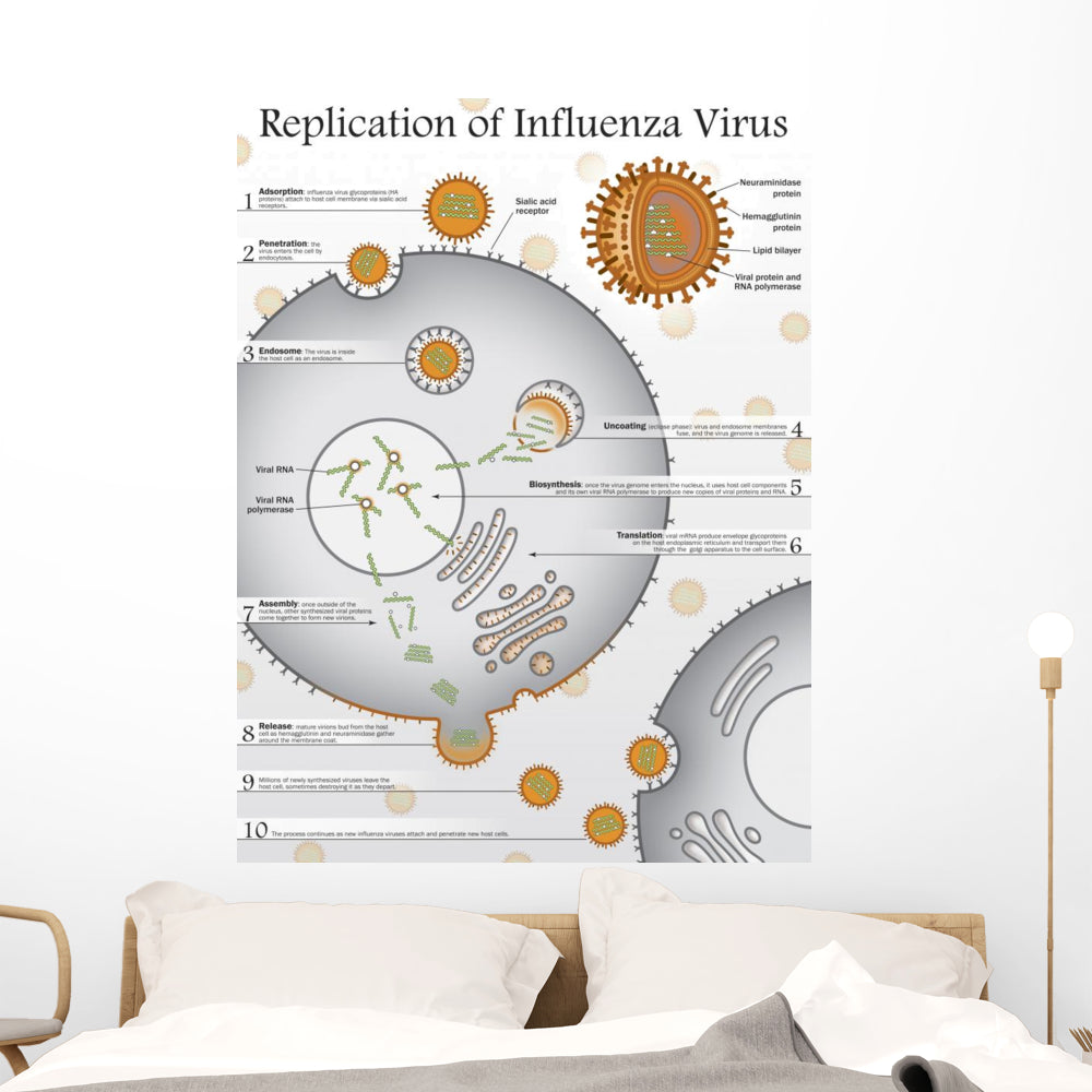 Vibrant Ten Steps to Replication Wall Decal