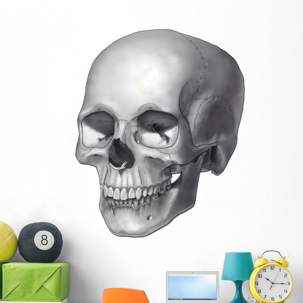 Epic Skull Illustration Wall Decal for Bold Interiors