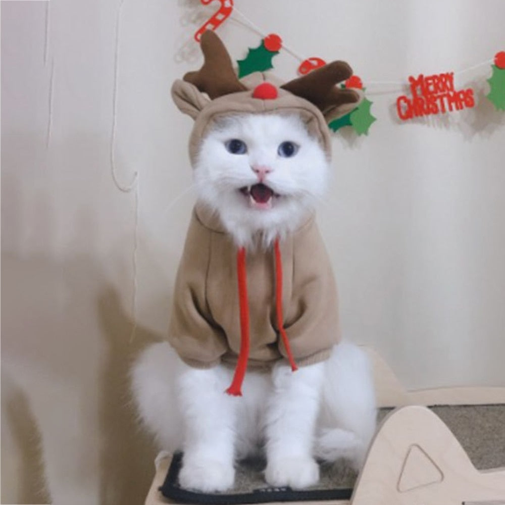 Stylish Dog Hoodie with Vibrant Colors
