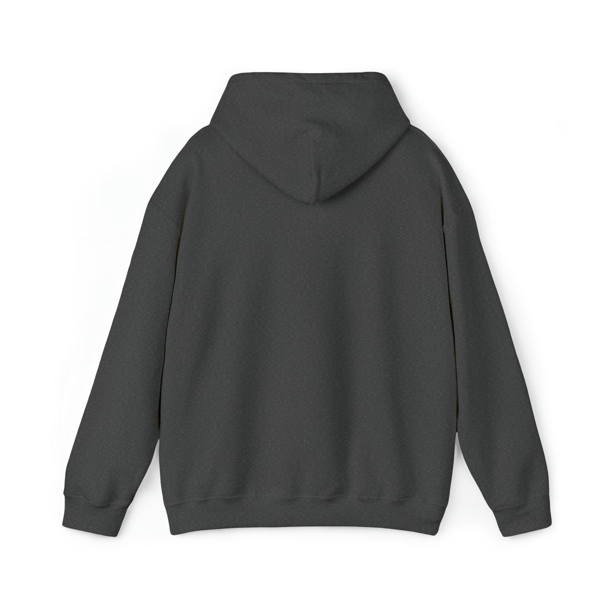 Joyful Christian Hoodie - Blend of Faith and Humor