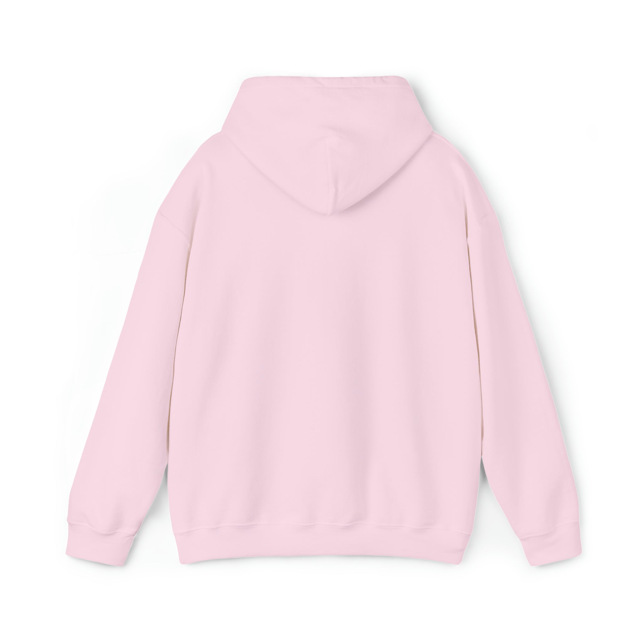 RSBC Unisex Heavy Blend Hooded Sweatshirt - Premium Comfort