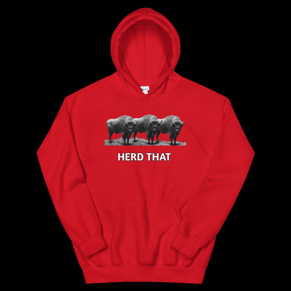 Cozy & Stylish Unisex Hoodie