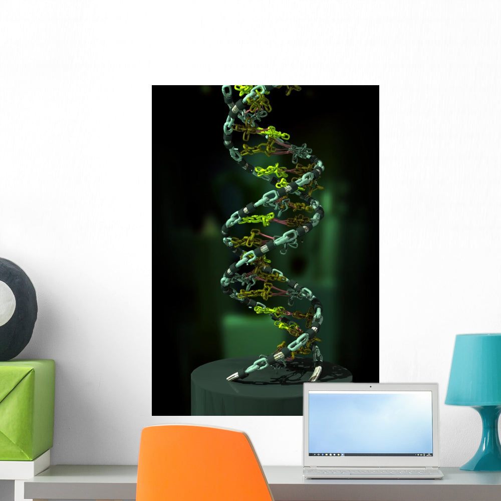 3D DNA Components Wall Decal for Educational and Decorative Spaces