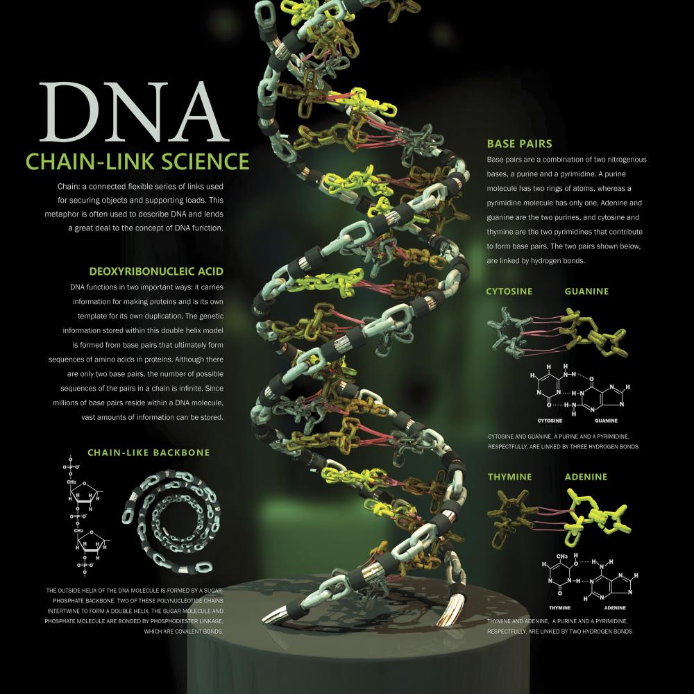 3D DNA Wall Decal - Vibrant Decor for Any Space