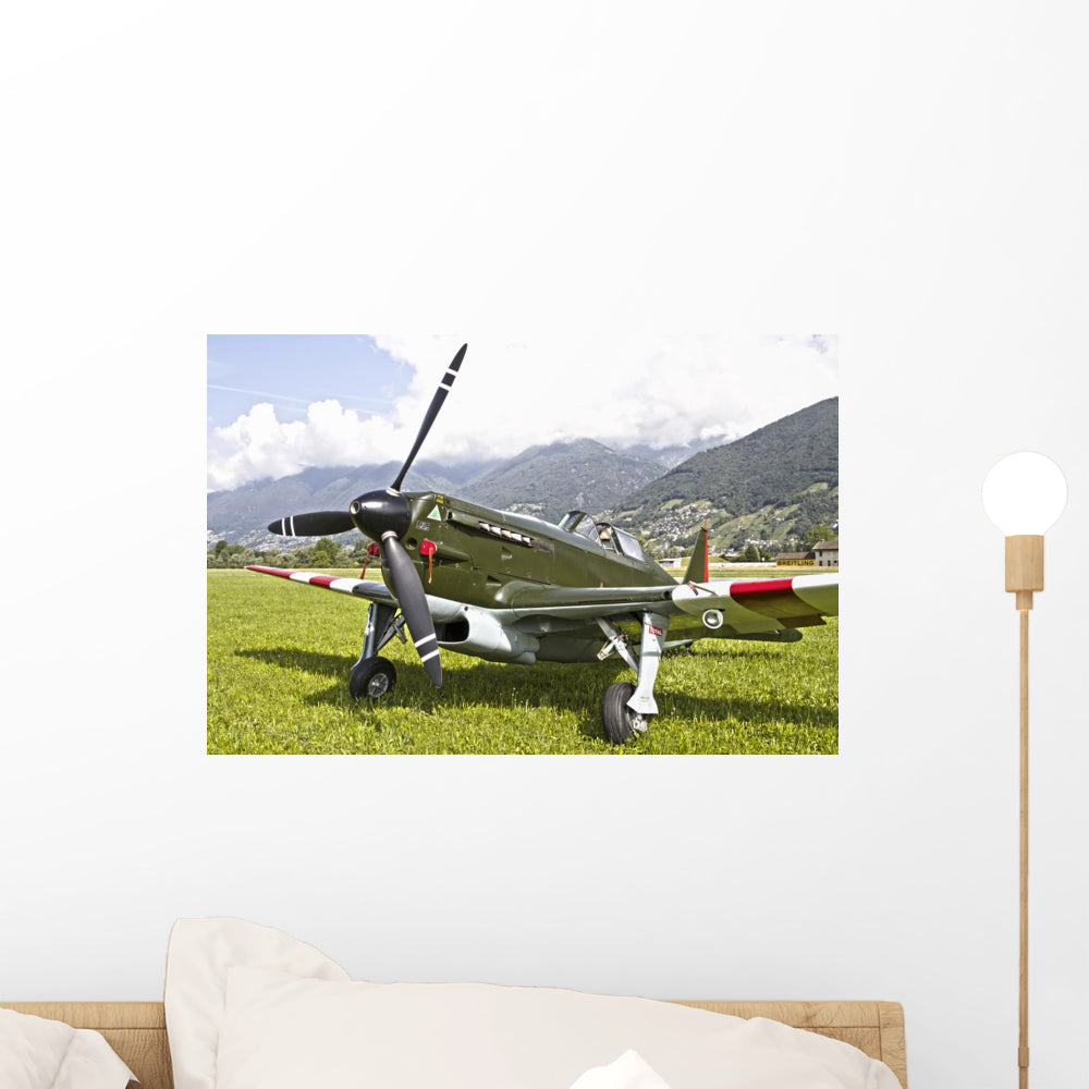 Swiss Air Morane-Saulnier D-3801 Wall Decal - Vibrant Aviation Decor