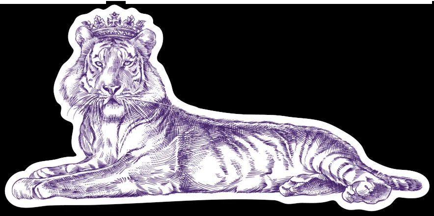 Versatile AP Decals for Every Occasion