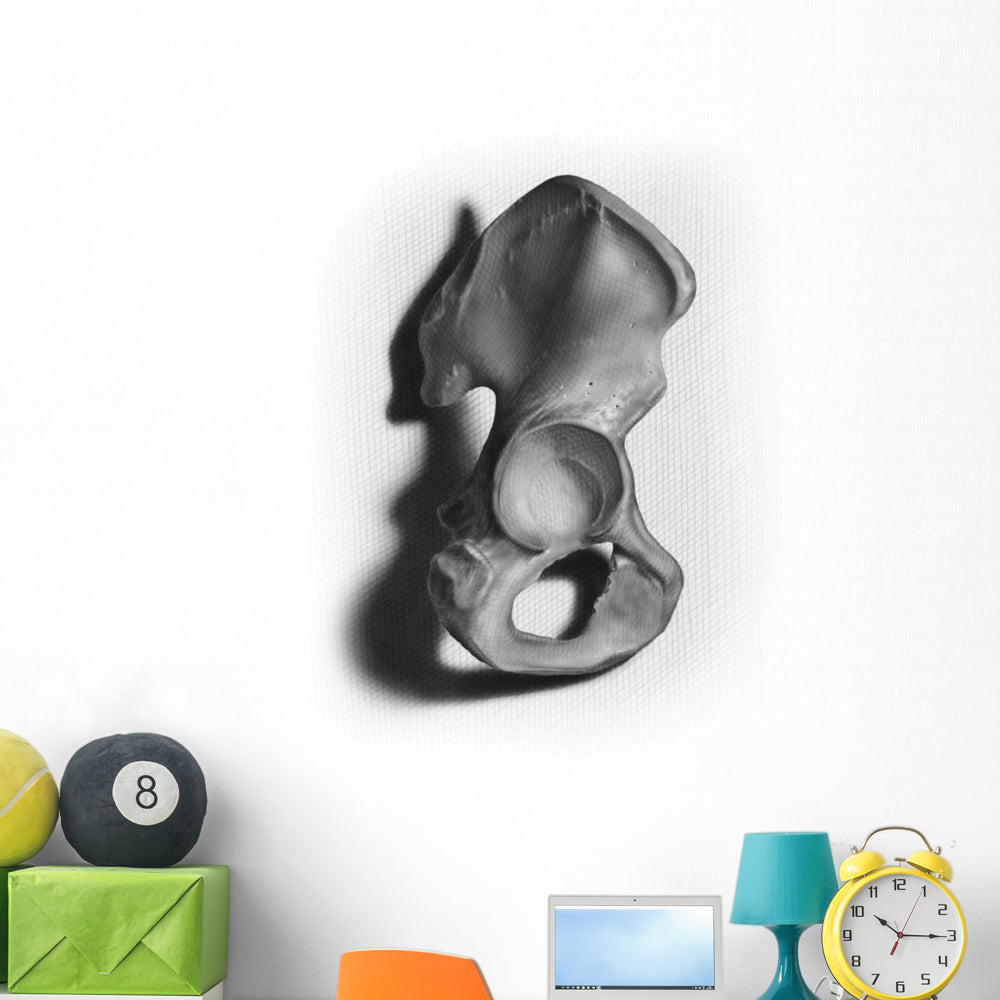 Bone Illustration Wall Decal - Vibrant Decor for Any Space